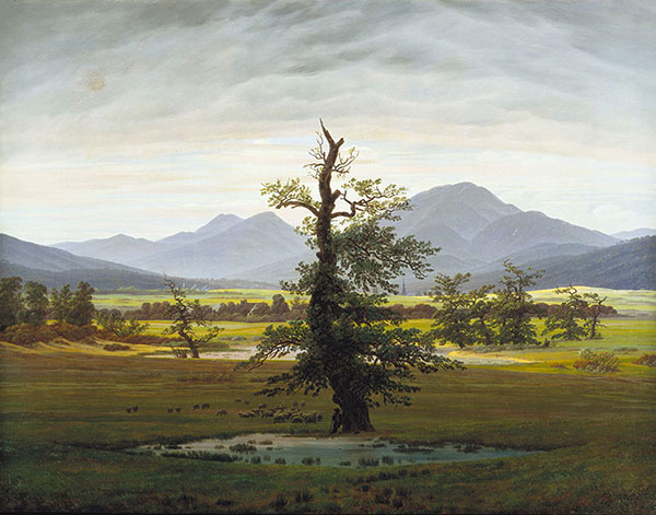 Compatible Landschaft JAHRRIESNGE  for tree lpg2345 